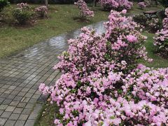 -琴亭湖公园