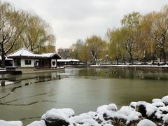 -团结湖公园