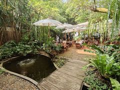 -Fern Forest Cafe