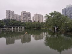 -中央公园(苏州工业园区)