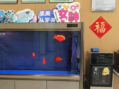 -艾维口腔(春江花月门诊部)