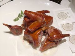 玻璃乳鸽-甄御•海鲜新青岛菜(麦岛店)