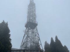 -武陵山森林公园