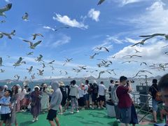 -海驴岛(荣成市)