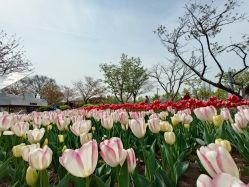 -玄武湖景区-情侣园游乐场