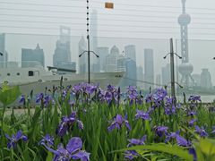 -北外滩滨江绿地