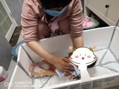 -田螺阿姨自营月嫂·育儿嫂(高新店)