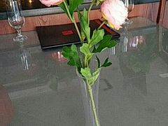 -百富源·海鲜辽菜(和平北大街店)