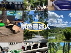 -安吉竹博园