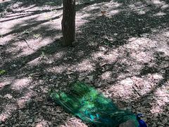 -北京麋鹿生态实验中心