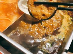 红汤梭边鱼锅-新辣道鱼火锅(世纪金源购物中心店)