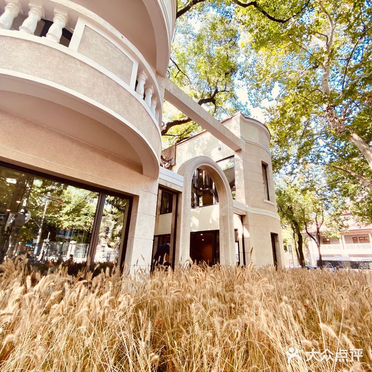 #魔都衡山路秋天最佳拍照打开卡地