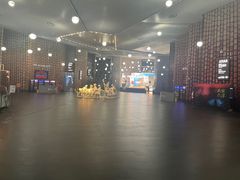 -上海东方艺术中心
