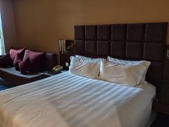 -和平宾馆(王府井店)