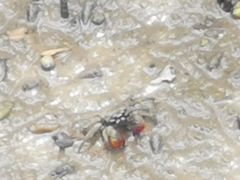 -北海金海湾红树林生态旅游区