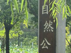 -廊坊市自然公园