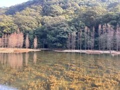-广州市石门国家森林公园