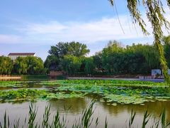 -三忘湖 SWANSEEN(柳荫公园店)