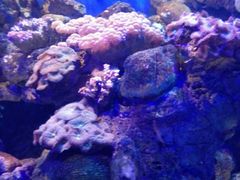 -洛阳龙门海洋馆