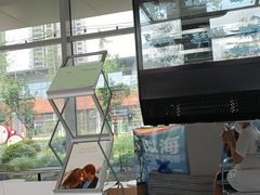 -Cetus coffee鲸鱼座咖啡·拼豆(二仙桥公园店)