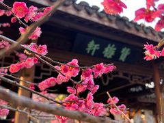 -杭州植物园
