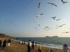 -星海湾跨海大桥