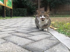 -莲湖公园