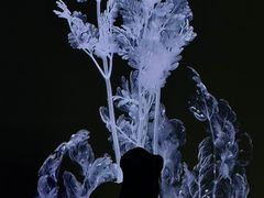 -时代美术馆-成都馆