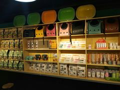 -猫十亿·布偶金渐层·曼基康矮脚猫舍(青年路店)