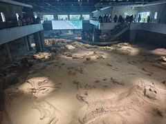 -自贡恐龙博物馆