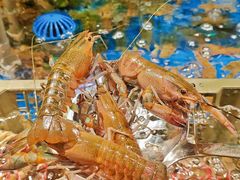 -亚马逊蒸汽活海鲜自助(LCM置汇旭辉广场店)