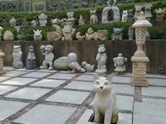-惠和石文化园