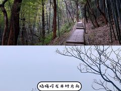 -宝石山