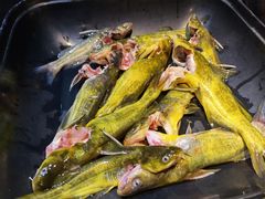 三角峰-吃城都·鱼蛙火锅(西玉龙街店)