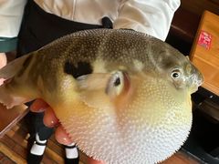 -永安鱼庄·镇江菜(丁卯店)