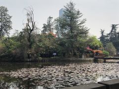 -四川大学(望江校区)