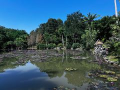 -中国科学院西双版纳热带植物园
