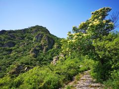 -阳台山自然风景区