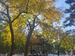 -元大都城垣遗址公园