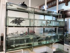 水产区-小乡小镇·传承桐庐土菜·老板亲自烧的菜