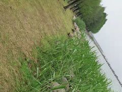 -苏州东太湖生态园