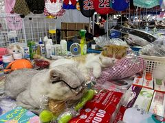 -吴山路夜市