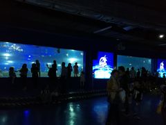 -重庆欢乐海底世界