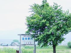 -富田农场