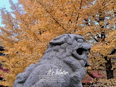 -北京石刻艺术博物馆(五塔寺)