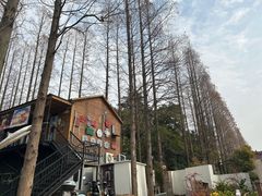 -云间粮仓