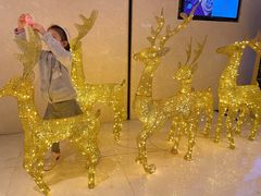-上海嘉定喜来登酒店