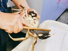 -黄记大闸蟹专卖店·活蟹·醉蟹