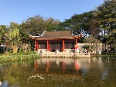 -顺峰山公园