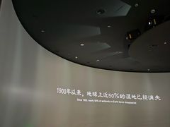 -中国湿地博物馆